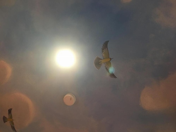 بجت إن إل إيه إكس - لونديل image 13