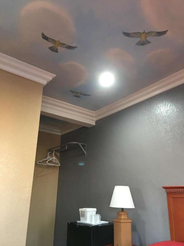 بجت إن إل إيه إكس - لونديل image 4